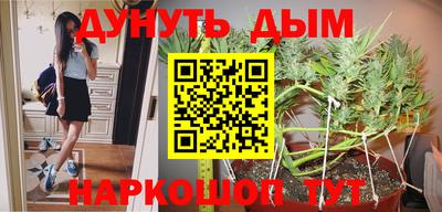 шишки Гусиноозёрск