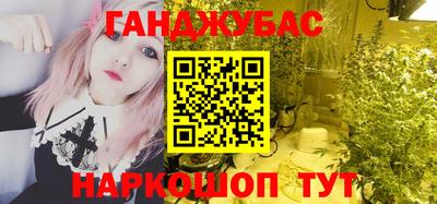 шишки Гусиноозёрск