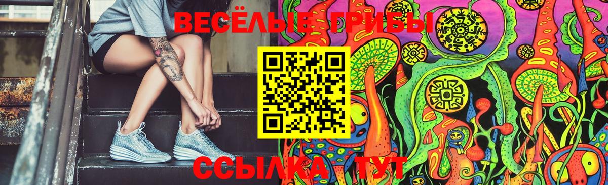 Псилоцибиновые грибы Psilocybine cubensis  Галлюциногенные грибы Psilocybine cubensis  Миллерово  цена   Вход с VPN 