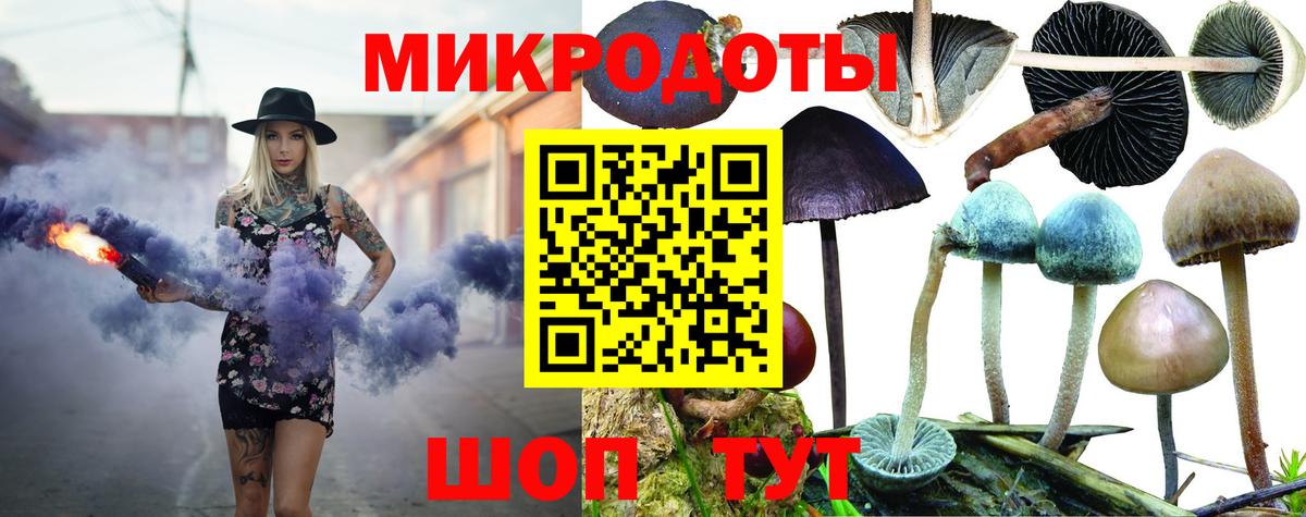 Псилоцибиновые грибы Psilocybine cubensis Миллерово